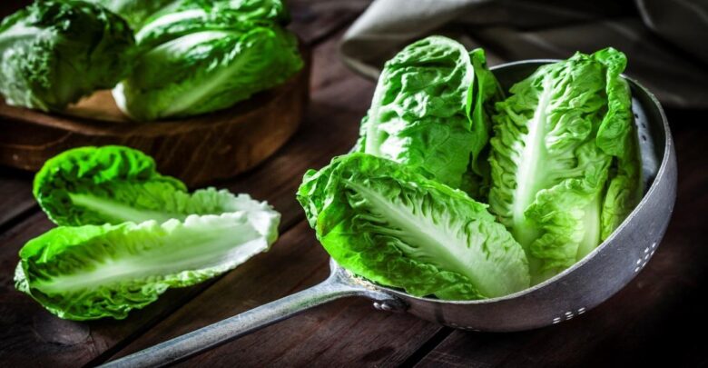 تعرف على فوائد “الخس” لمرضى السكري