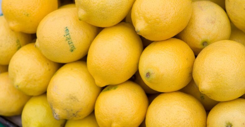 10 فوائد لشرب الماء بالليمون يومياً