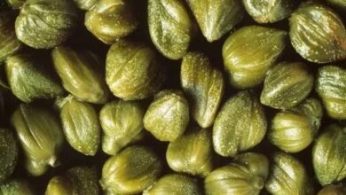 وداعاً للسرطان والجلطات.. عشبة  تقضي على الورم وتنمو في الشتاء ودواء سحري للسرطان!!