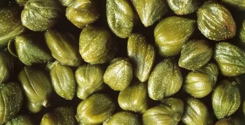 وداعاً للسرطان والجلطات.. عشبة  تقضي على الورم وتنمو في الشتاء ودواء سحري للسرطان!!