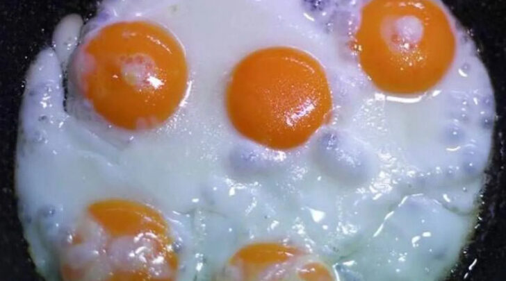 لون صفار البيض… لماذا يختلف؟ وهل له علاقة بقيمته الغذائية؟