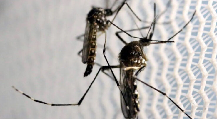 علماء يطوّرون طريقة رائدة للقضاء على أمراض قاتلة محتملة